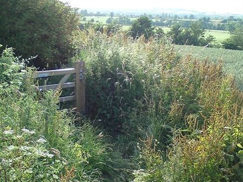 The Steppes Holiday Cottages Hereford Zewnętrze zdjęcie
